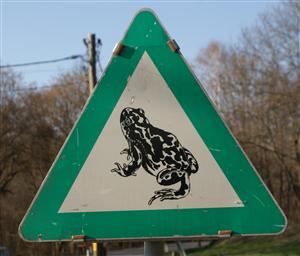Amphibienschutz