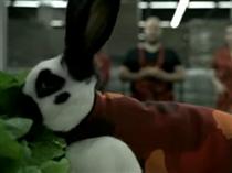 Penny Hase